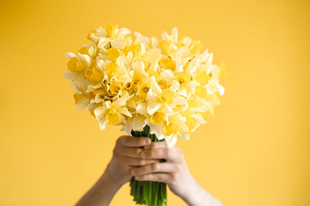 yellow-background-male-hands-with-bouquet-yellow-daffodils-concept-greetings-women-s-day.jpg yellow-background-male-hands-with-bouquet-yellow-daffodils-concept-greetings-women-s-day.jpg